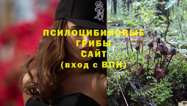 мдма Верхний Тагил