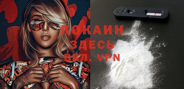 шишки Нязепетровск
