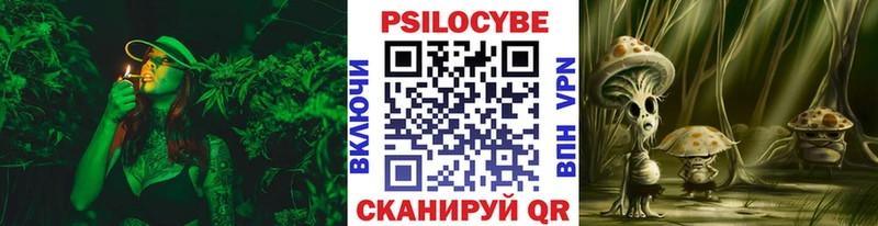 Галлюциногенные грибы Psilocybe сайты даркнета как зайти Отрадное KRAKEN сайт